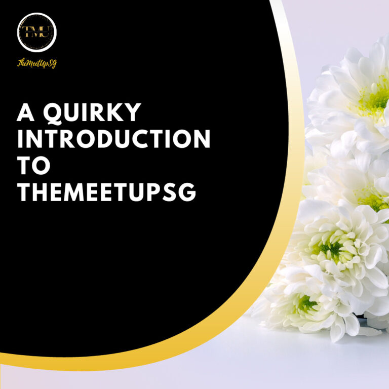a quirky introduction to themeetupsg